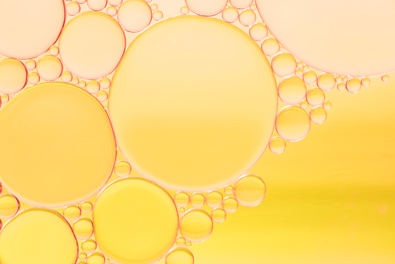 Ingredient Deep Dive: Rosemary and Castor Oils for Hair Growth