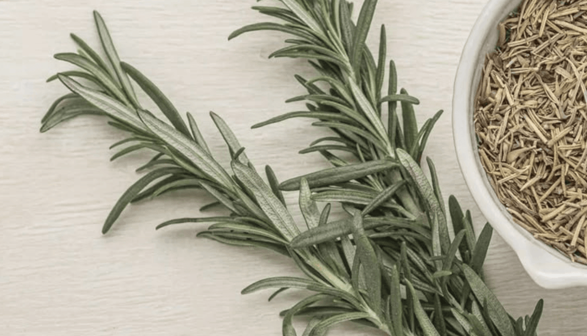 Boost Nightly Routine with Rosemary Oil: Secret to Scalp Nourishment