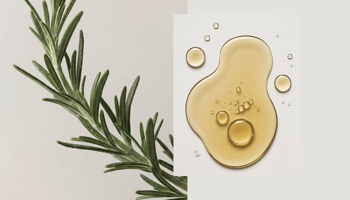 Differences Between Rosemary and Castor Oil for Hair Growth