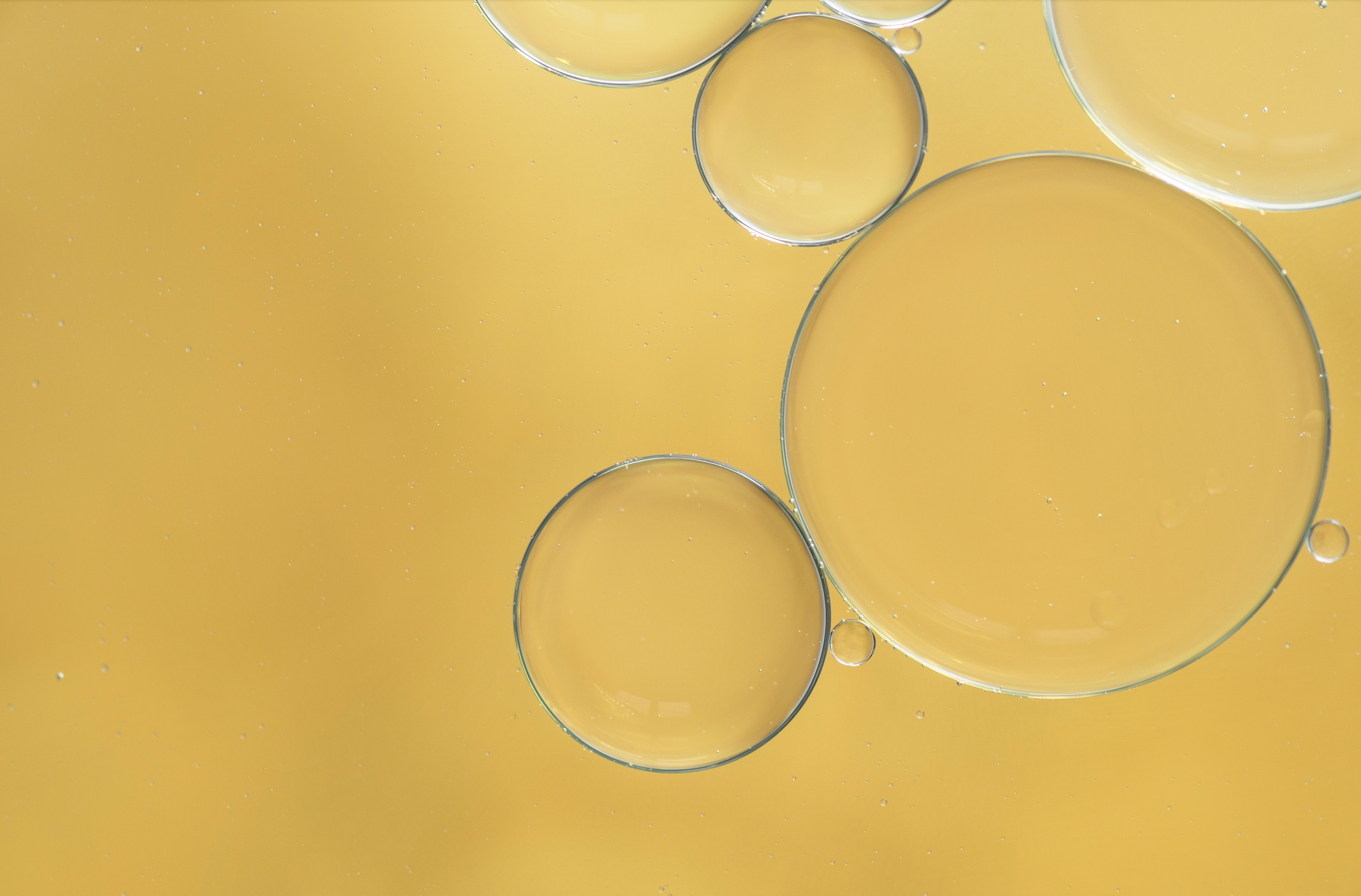 Scalp Health Demystified: Rosemary Oil versus Minoxidil and Castor Oil