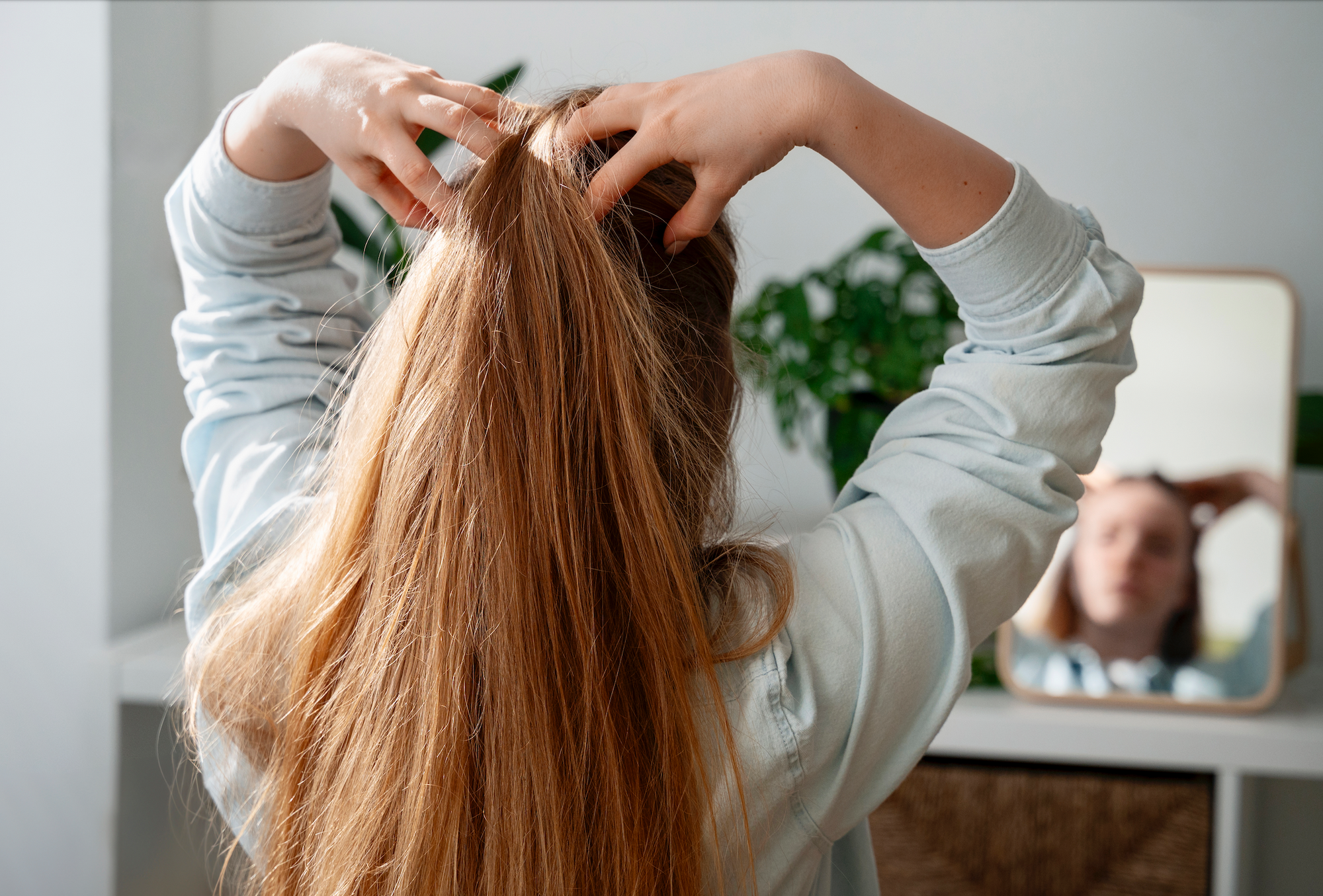 Truths and Myths about Rosemary Oil in Scalp Health