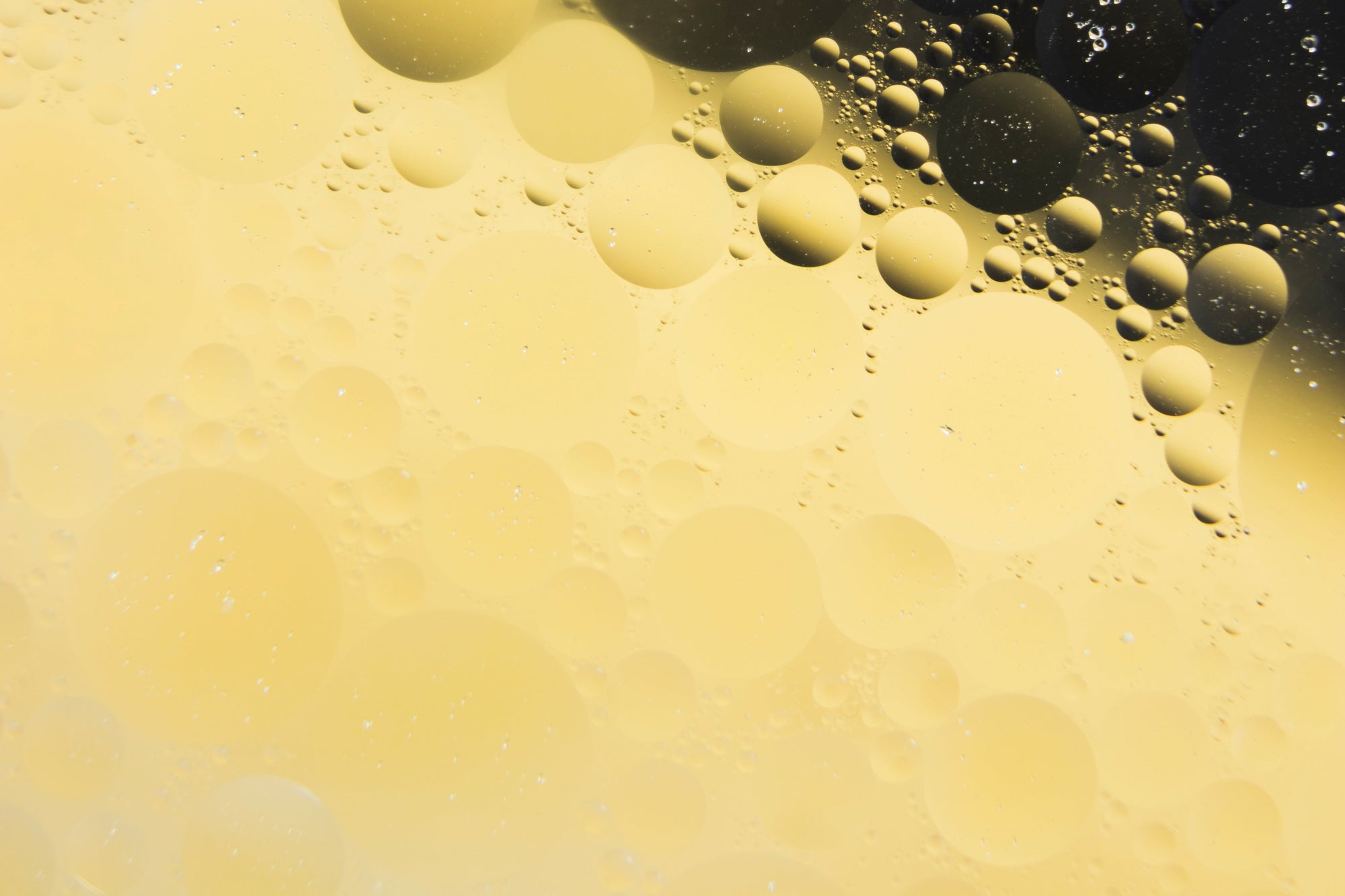 Teens’ Guide: Hair Safety with Rosemary Oil and Other Botanicals