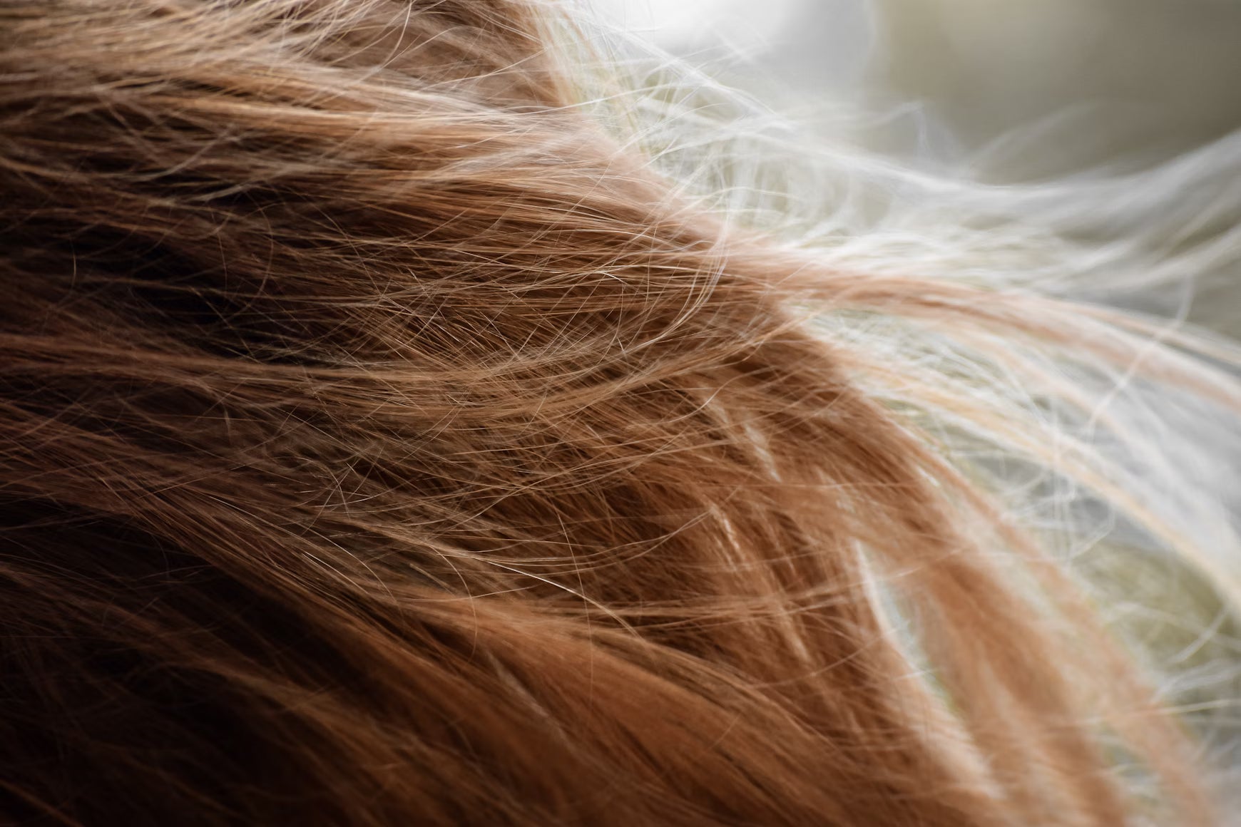 Argon Oil and Rosemary Oil for Postpartum Hair Loss Solutions