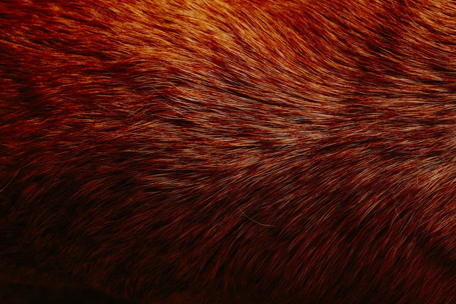 a close up of a brown and black animal's fur