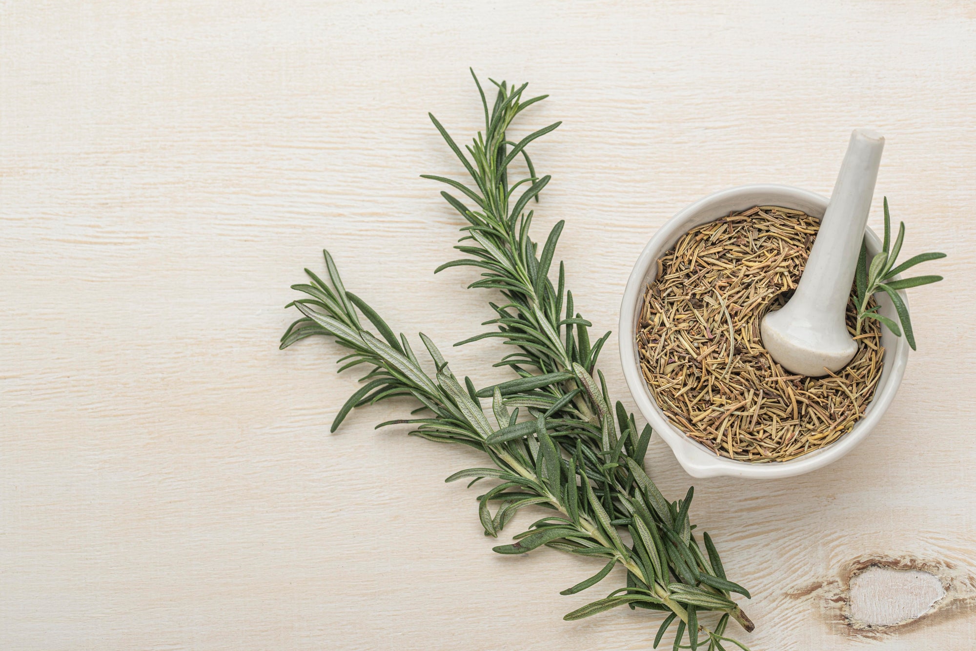 Rosemary Oil Ingredient Deep Dive: Positively Impacting Scalp Health