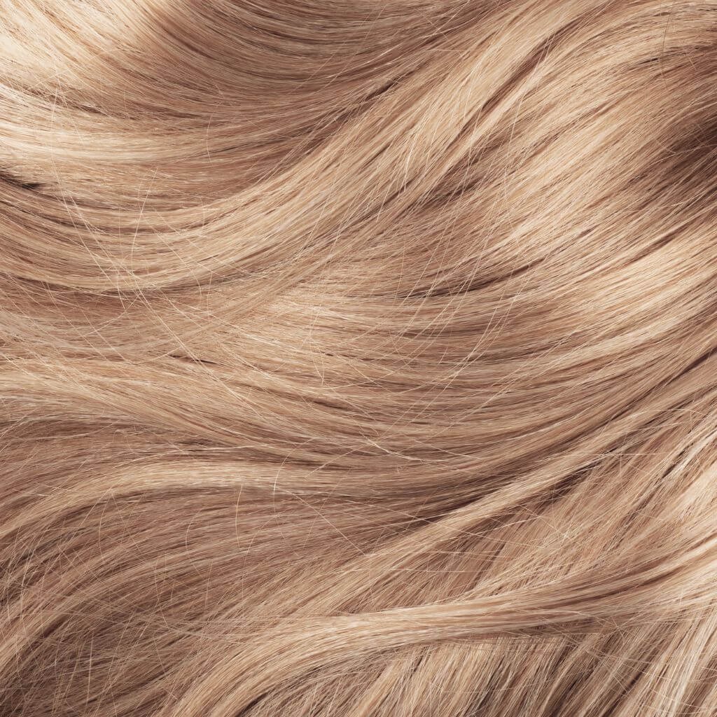 Argan Almond Bond Boost+ Hair Oil 100ml